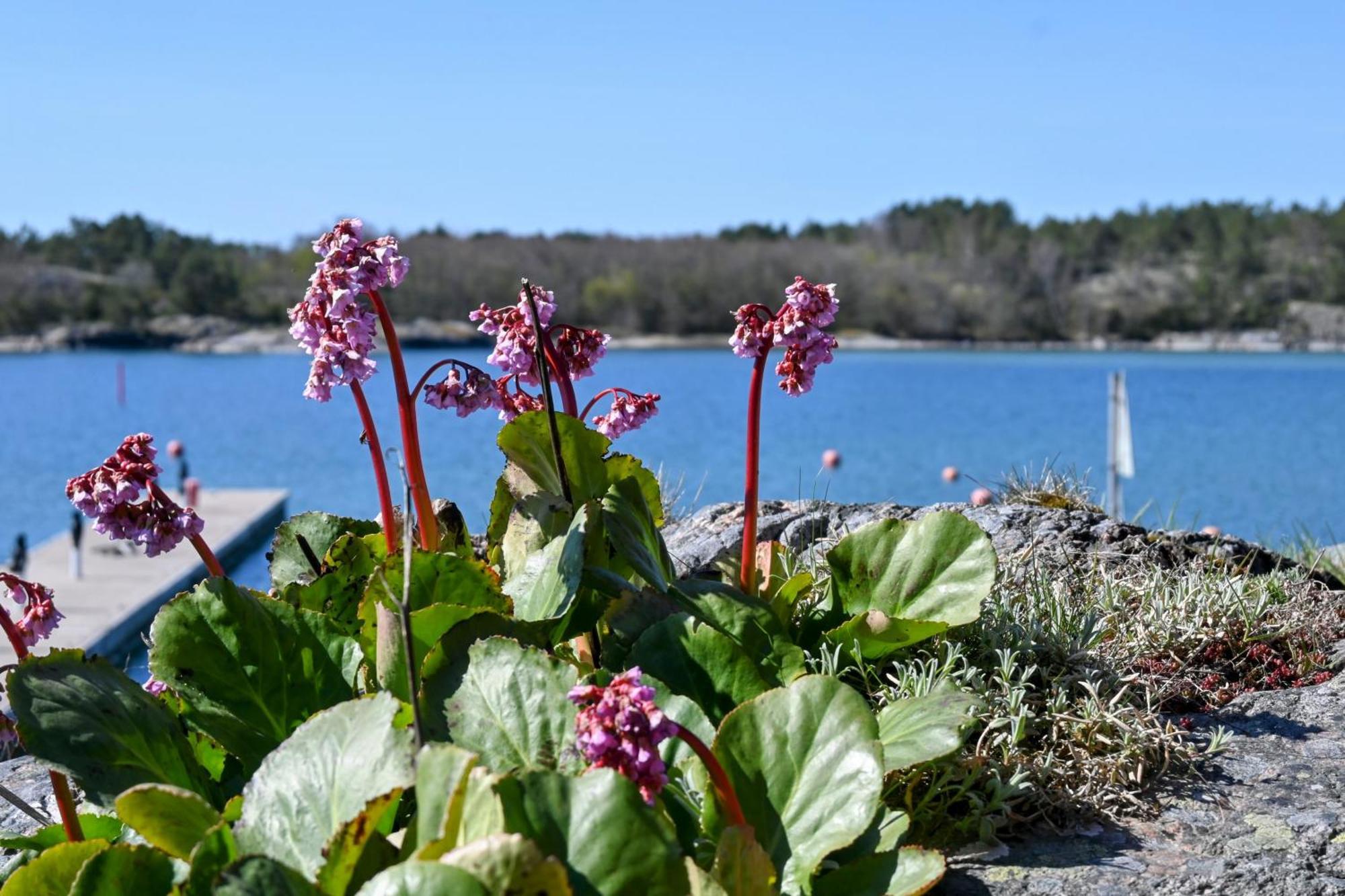 Strandhugget Bnb Sottunga Exteriör bild